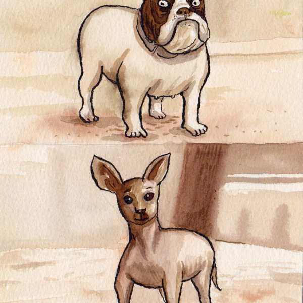 dogs illustration