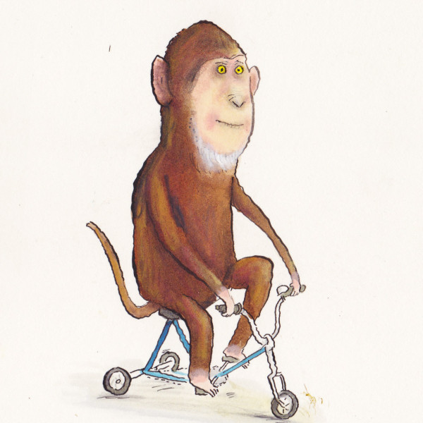 monkey on trike illustration