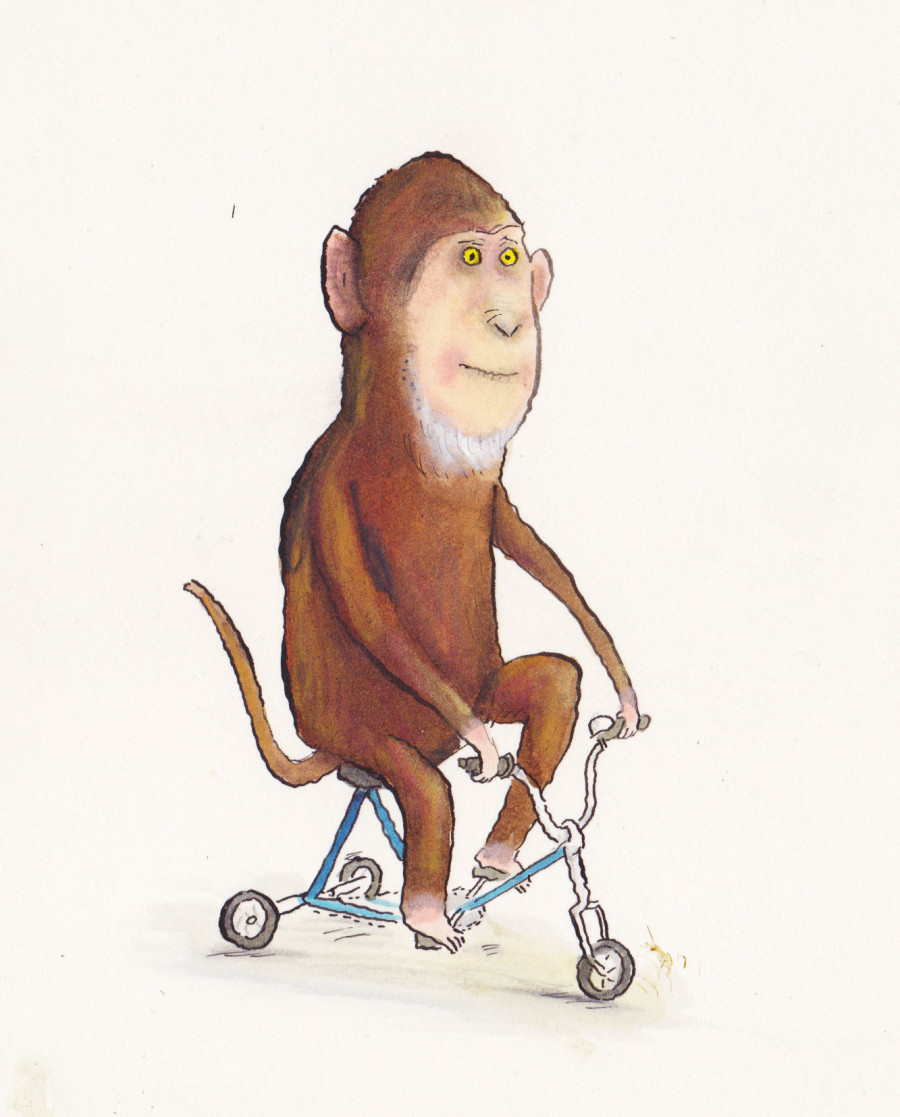 monkey on trike illustration