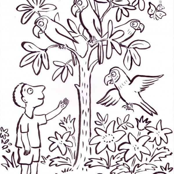 Parrots illustration